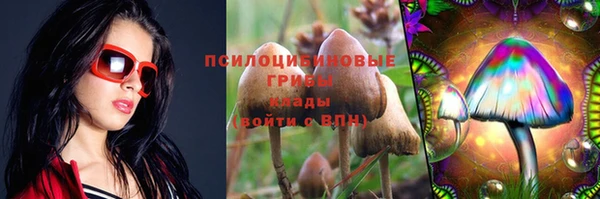 спиды Снежинск