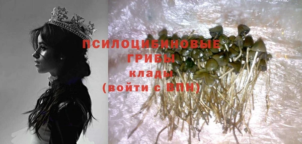 ECSTASY Слюдянка