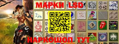 гашик Аргун