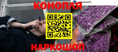 прущий лед Донецк