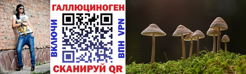 Псилоцибиновые грибы Cubensis  цены наркотик  Новочебоксарск 