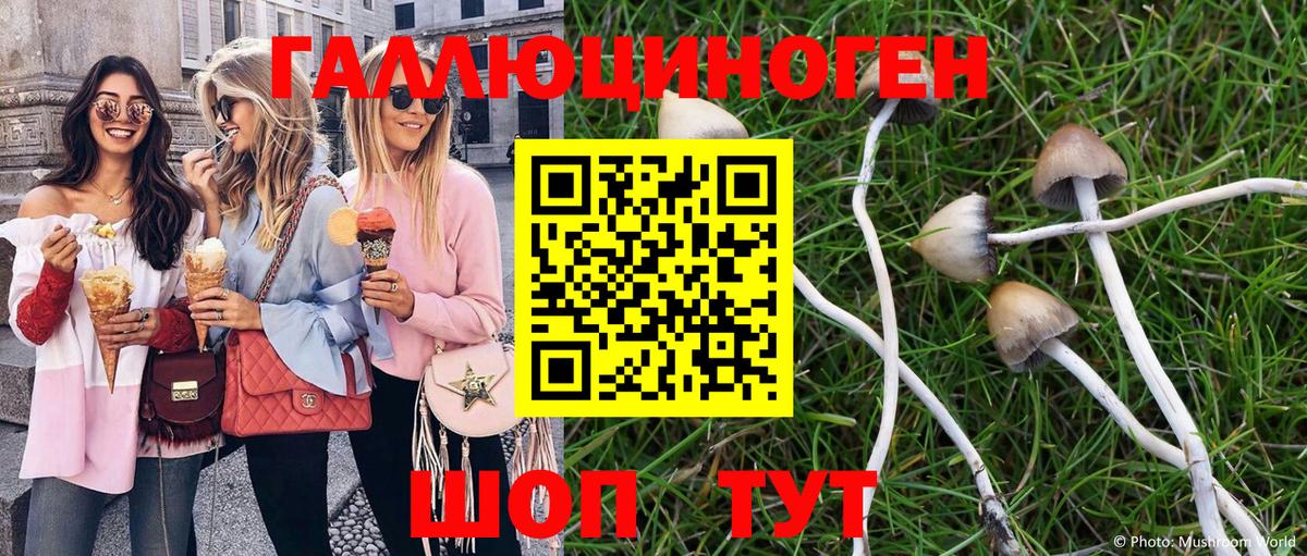 Псилоцибиновые грибы Psilocybine cubensis Новочебоксарск